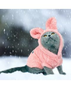 Cappotto Vestito Invernale per cani e gatti taglia da S a 2XL