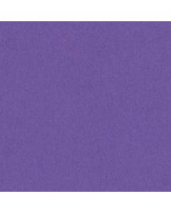 HAMELIN CANSON - Confezione 50 fogli A4 VIVALDI 185gr colore VIOLA