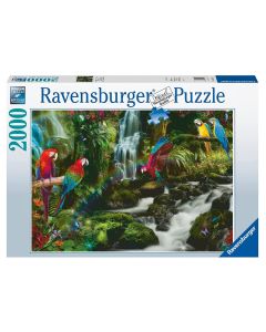 RAVENSBURGER - Puzzle 2000 pz Il paradiso dei pappagalli