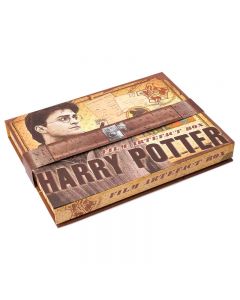 NOBLE COLLECTION - Scatola da collezione di manufatti di Harry Potter